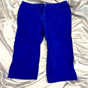 St John Bay Blue Petite Skinny Capris